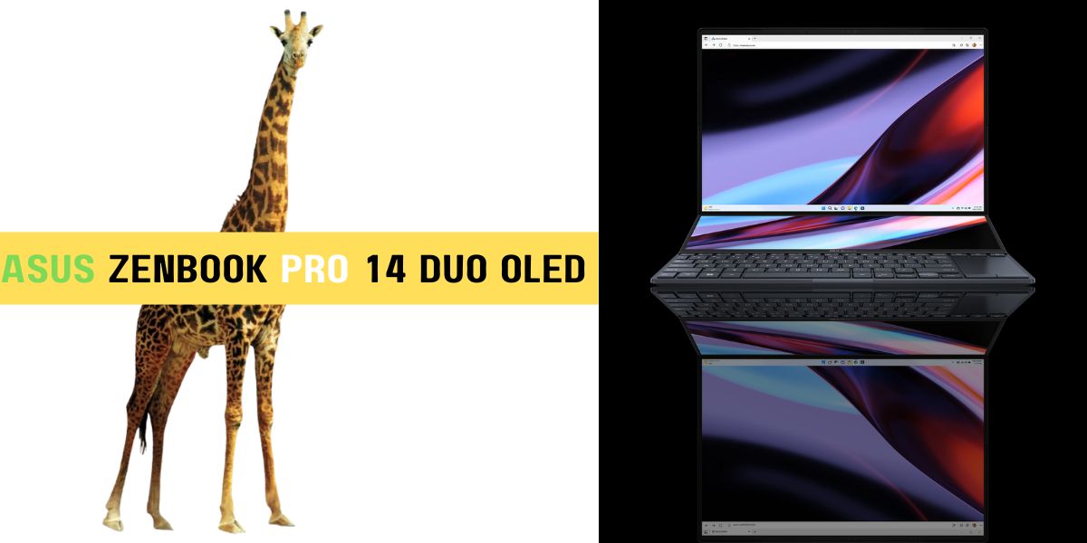 ASUS ZenBook Pro 14 Duo OLED