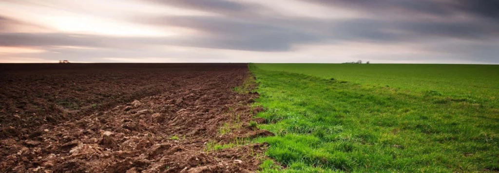 World Environment Day 2024 half green half desert